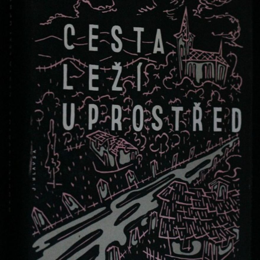Bedřich Svatoš Cesta leží uprostřed