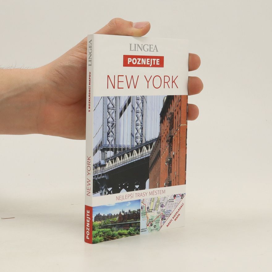 Kolektív autorov New York