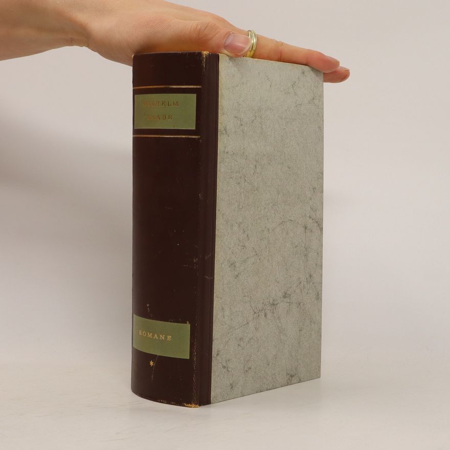 Wilhelm Hauff Gesammelte Romane 1