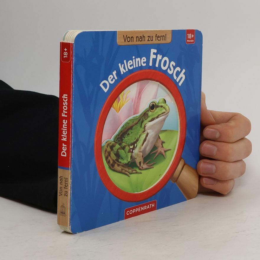 Yousun Koh Der kleine Frosch
