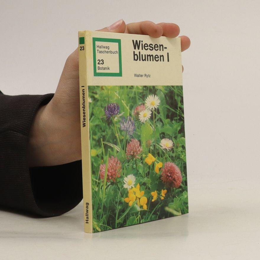 Walter Rytz Wiesenblumen I