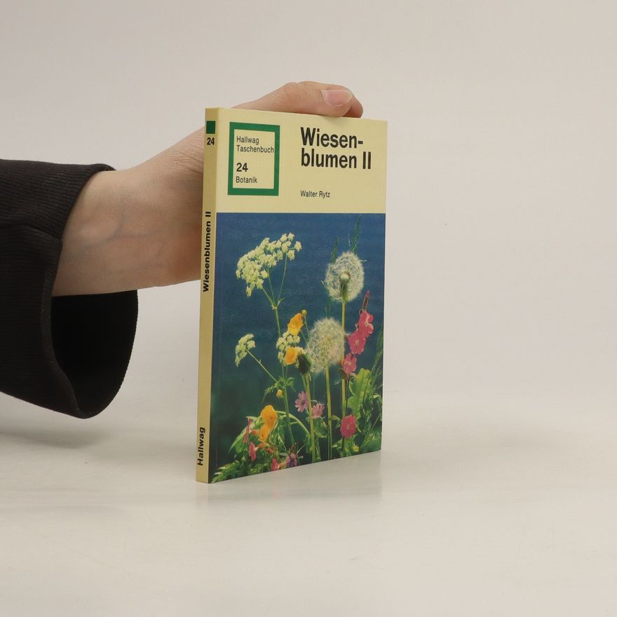 Walter Rytz Wiesen-blumen II