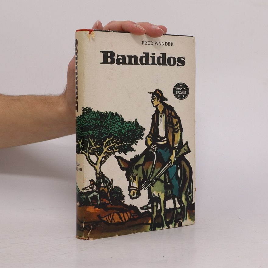 Frank Castle Bandidos