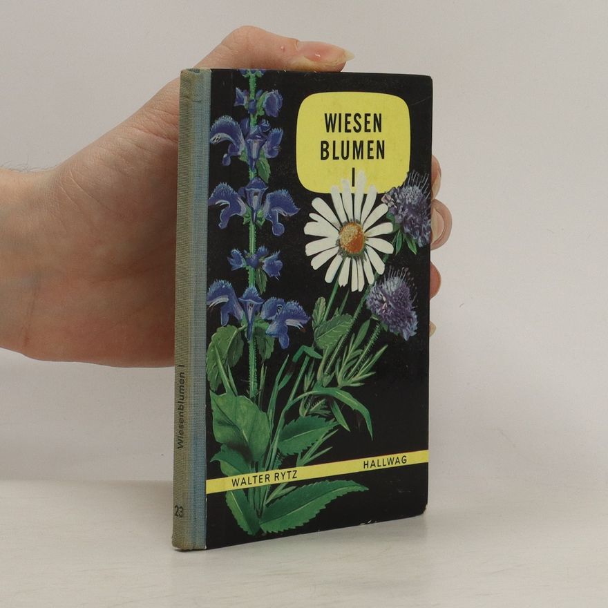 Walter Rytz Wiesen Blumen I