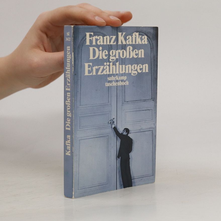 Franz Kafka Die großen Erzählungen
