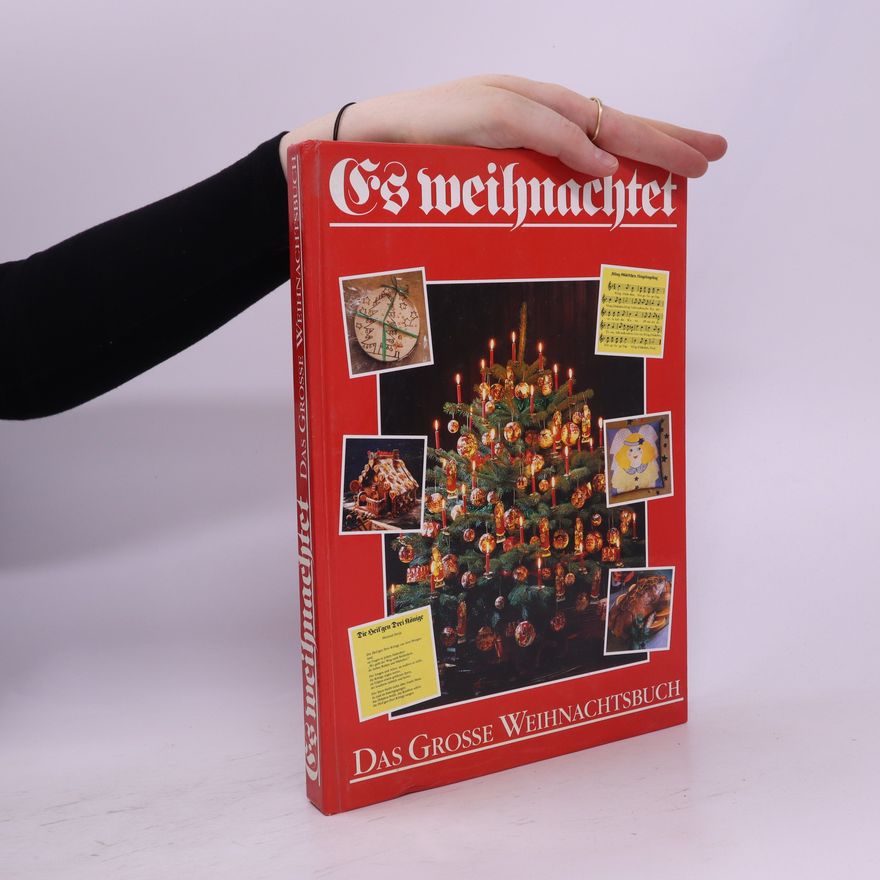 Kolektiv autorů Das Grosse Weihnachtsbuch