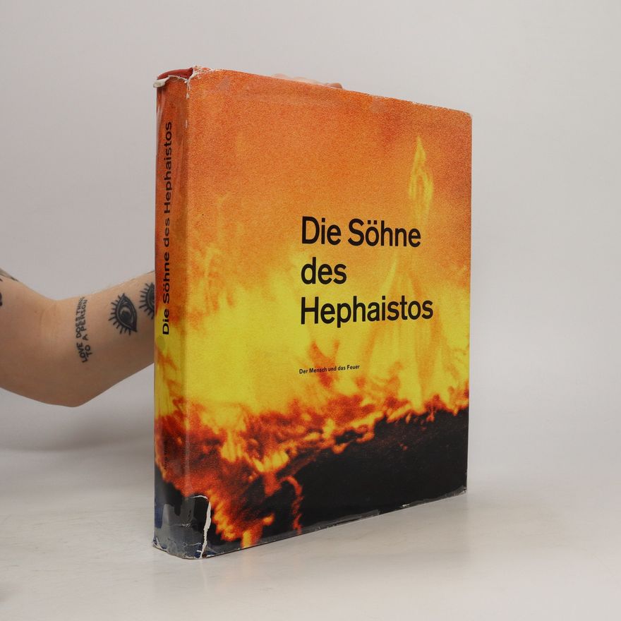 Kolektiv autorů Die Söhne des Hephaistos