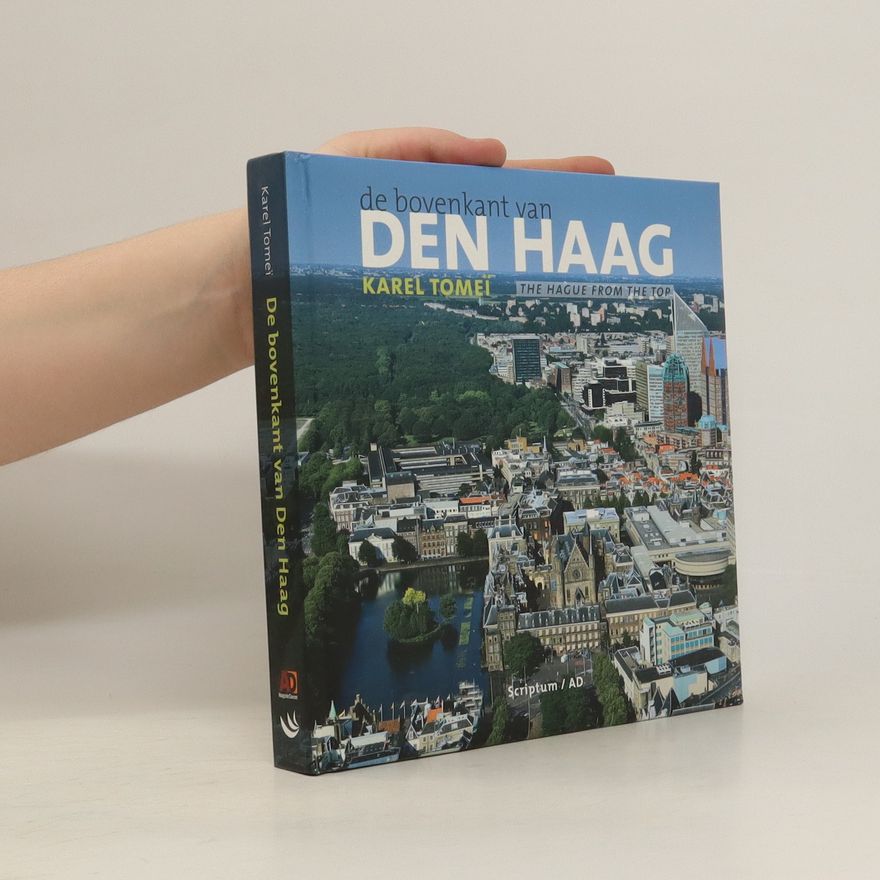 Karel Tomeï De bovenkant van Den Haag