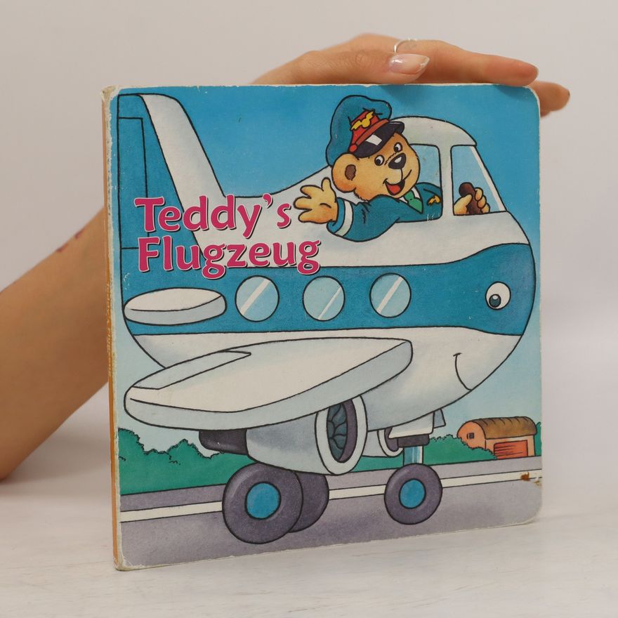 Roger De Klerk Teddy's Flugzeug