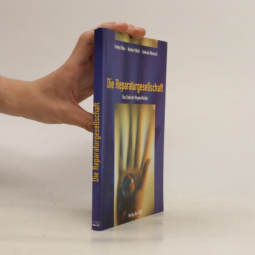 Evelyn Blau Die Reparaturgesellschaft