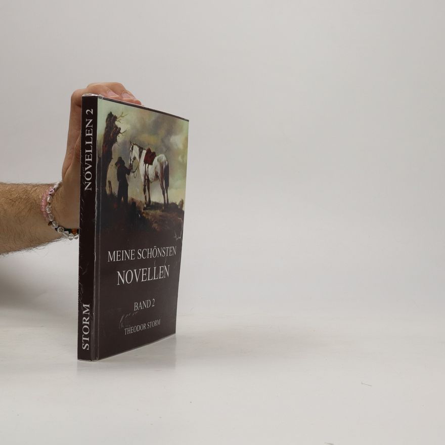 Theodor Storm Meine schönsten Novellen (Band 2)
