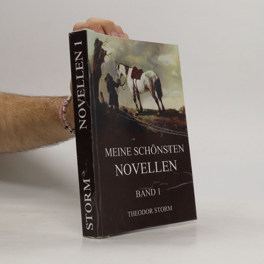 Theodor Storm Meine Schönsten Novellen (Band 1)