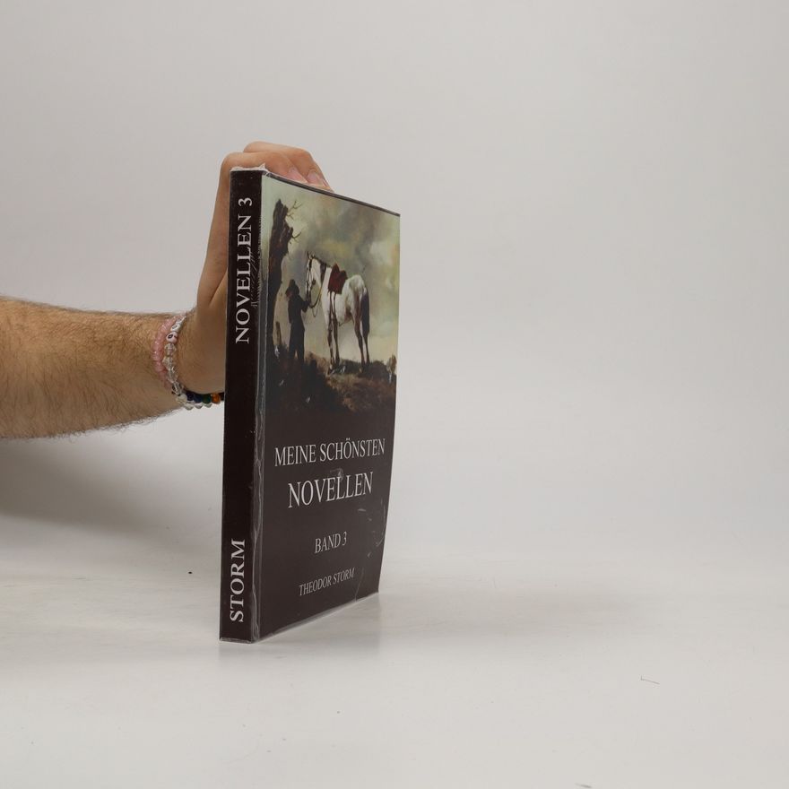 Theodor Storm Meine Schönsten Novellen