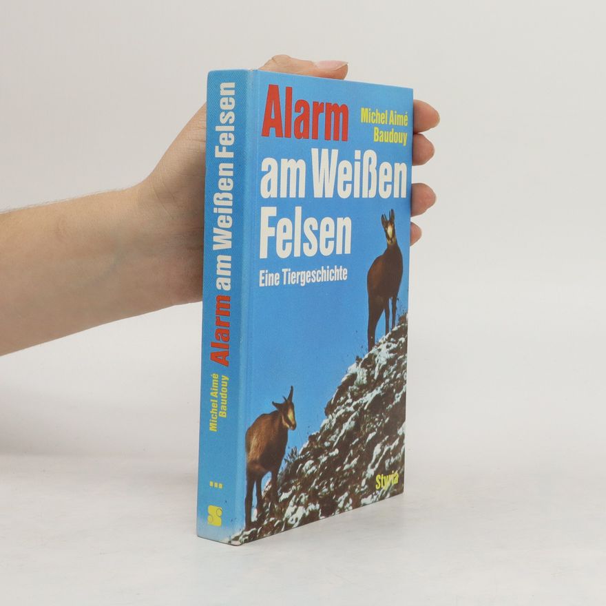 Michel Aimé Baudouy Alarm am Weissen Felsen