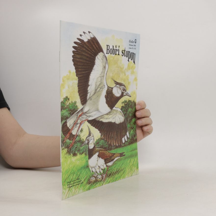 Autorenkollektiv Bobří stopou, číslo 6 - březen 1995
