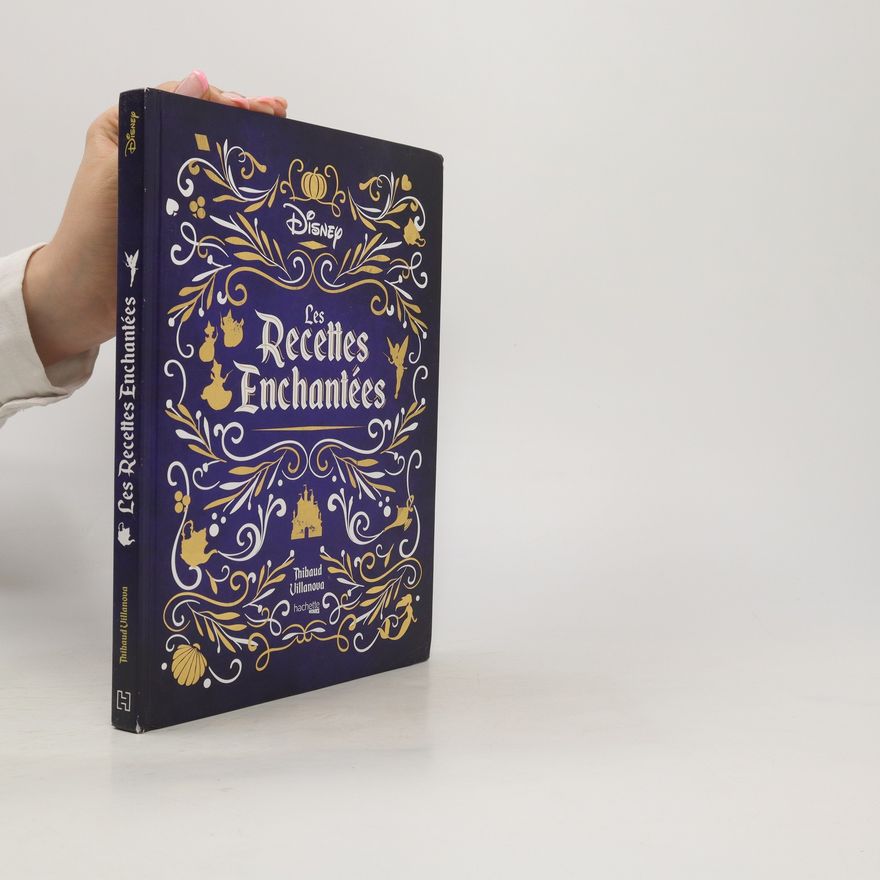 Thibaud Villanova Les recettes enchantées