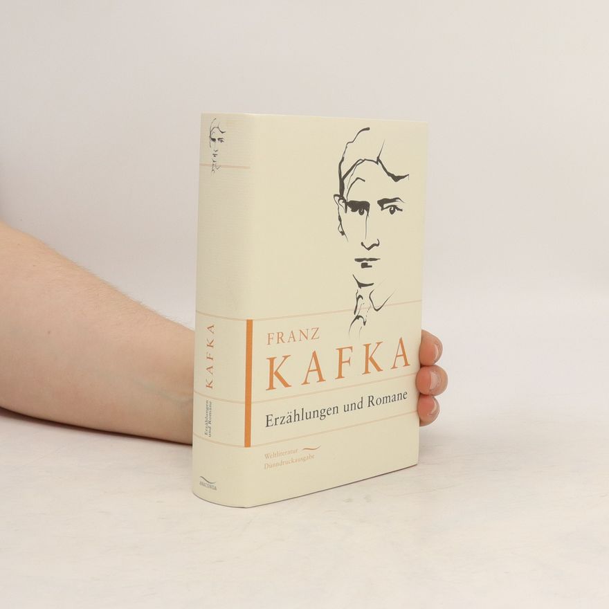 Franz Kafka Erzählungen und Romane