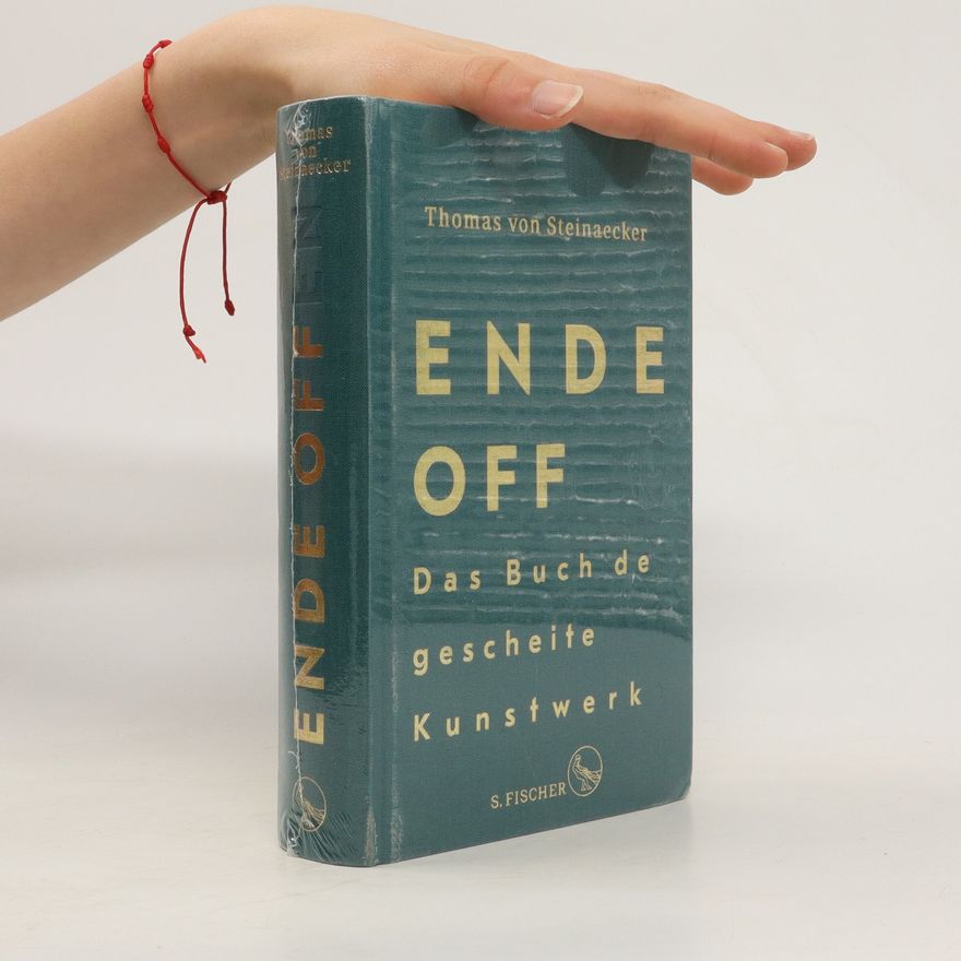 Thomas Steinaecker Ende offen. Das Buch der gescheiterten Kunstwerke