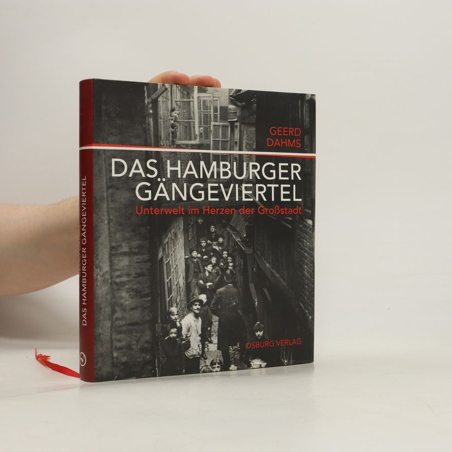 Geerd Dahms Das Hamburger Gängeviertel