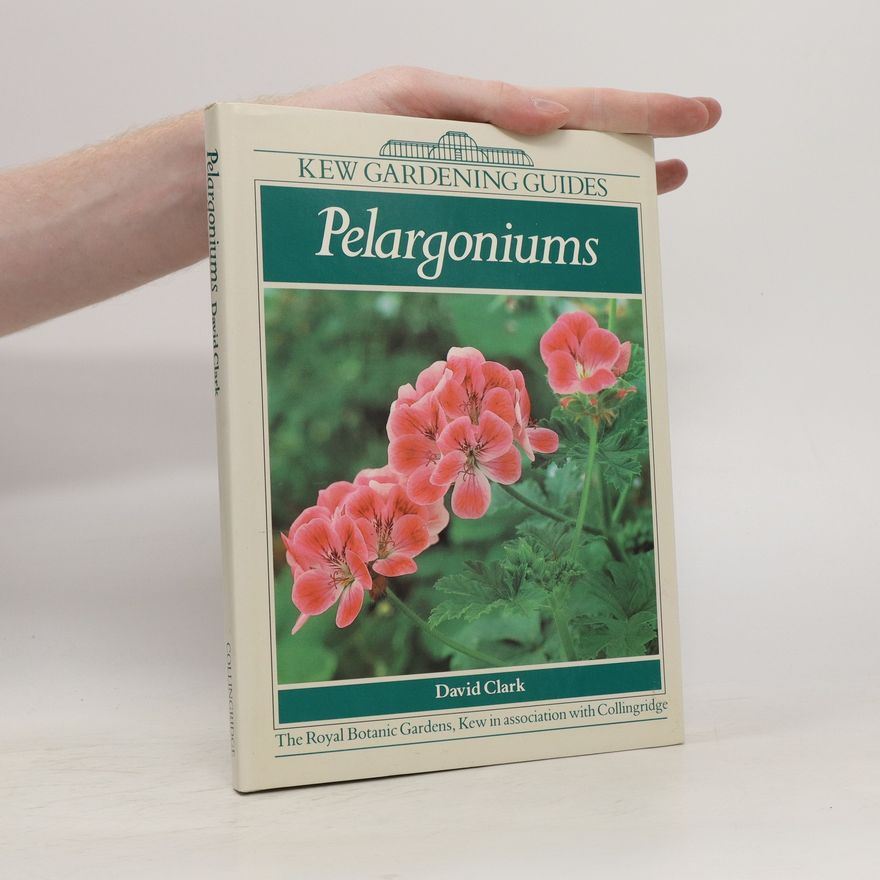David Clark Pelargoniums