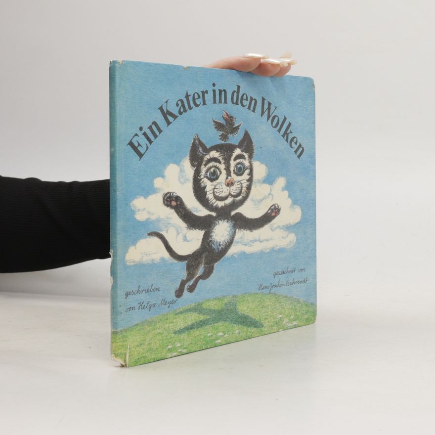 Helga Meyer Ein Kater in den Wolken