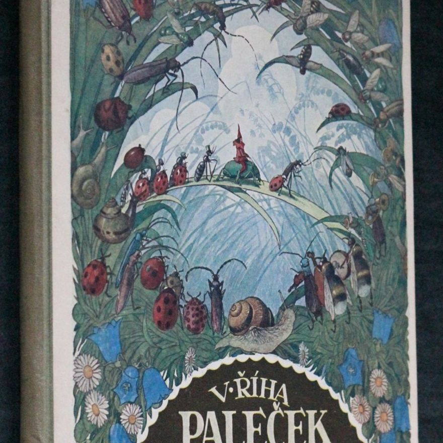 Václav Říha Paleček