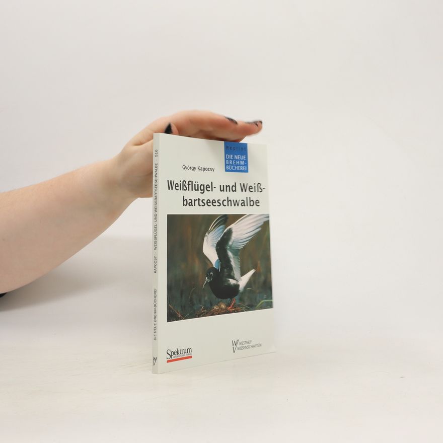 György Kapocsy Weissflügel- und Weissbartseeschwalbe