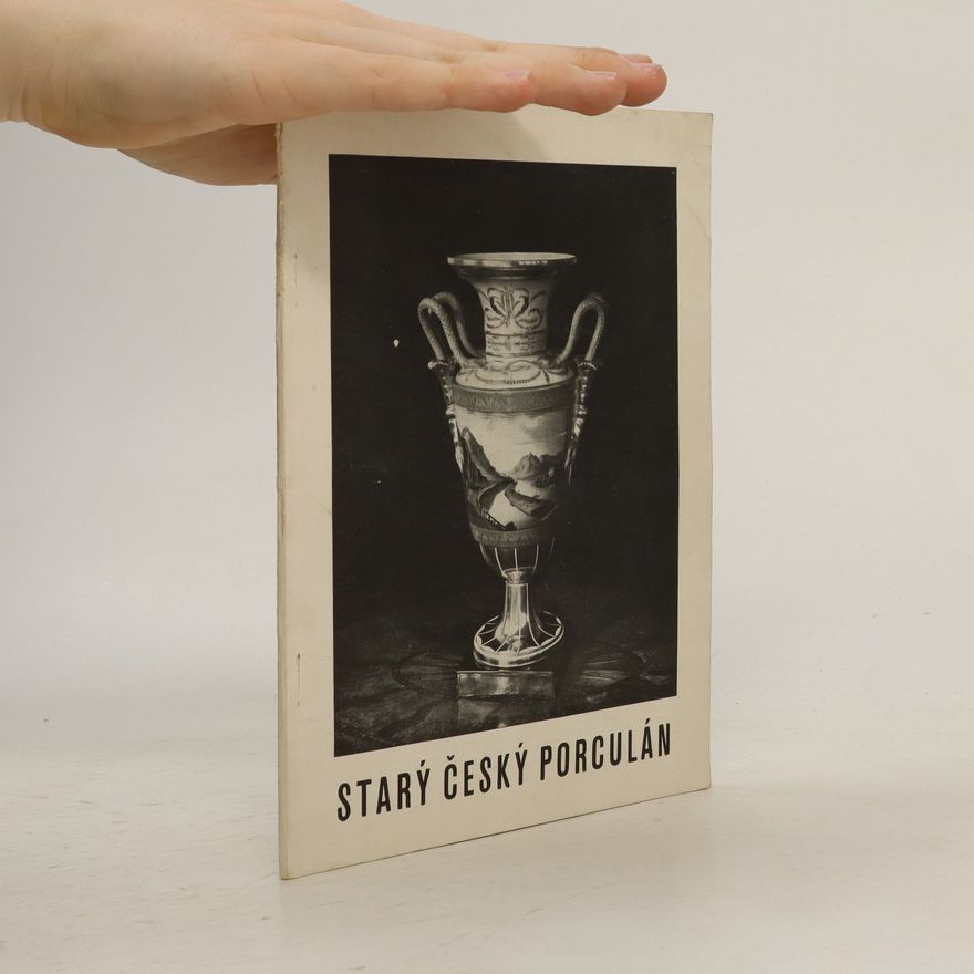 Kolektiv autorů Starý český porculán