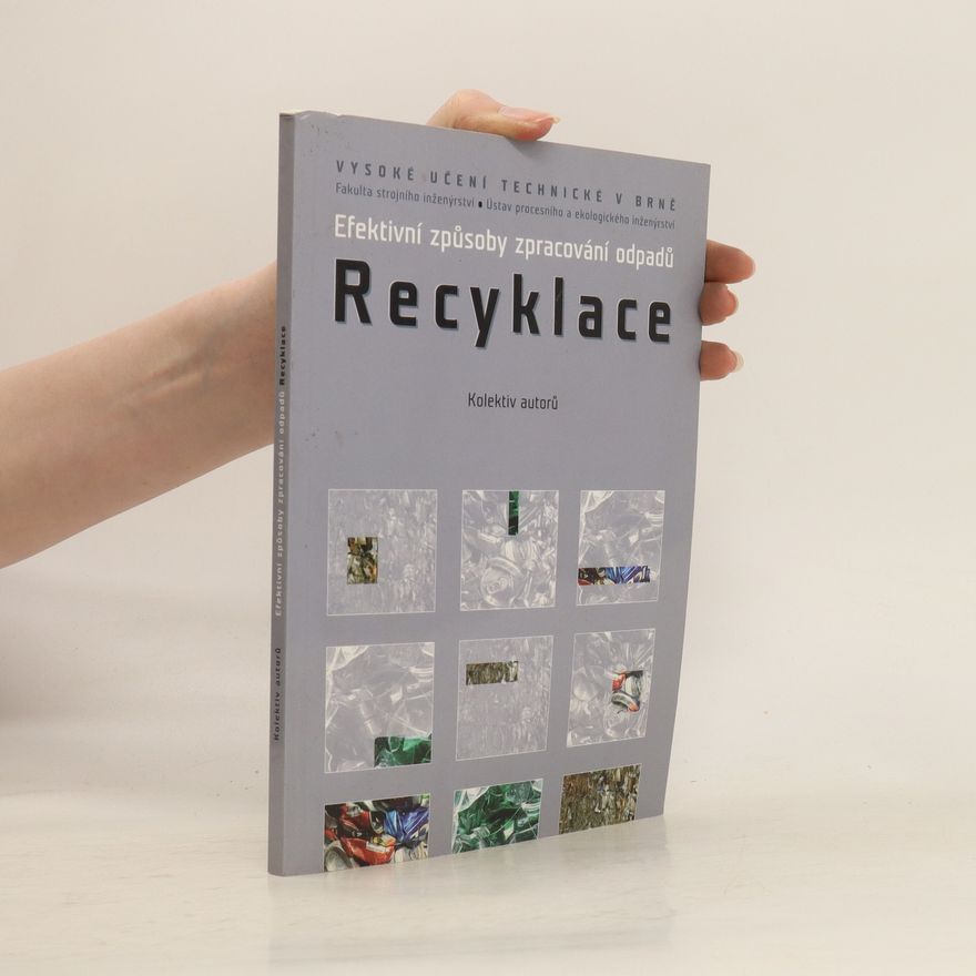 Autorenkollektiv Efektivní způsoby zpracování odpadů - Recyklace
