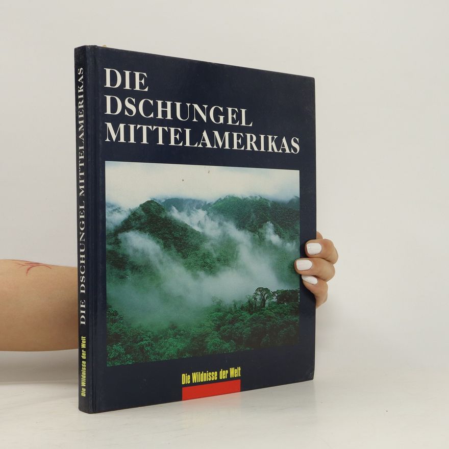 Co Rentmeester Die Dschungel Mittelamerikas