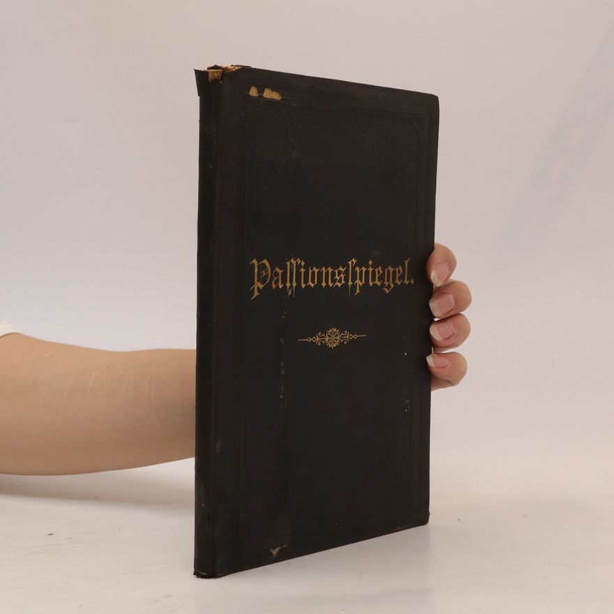 C. Steinhauer Pallionsspiegel