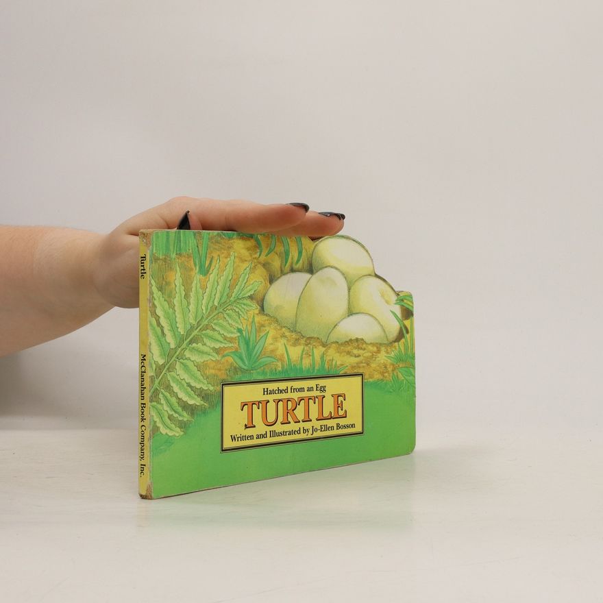 Jo-Ellen Bosson Turtle