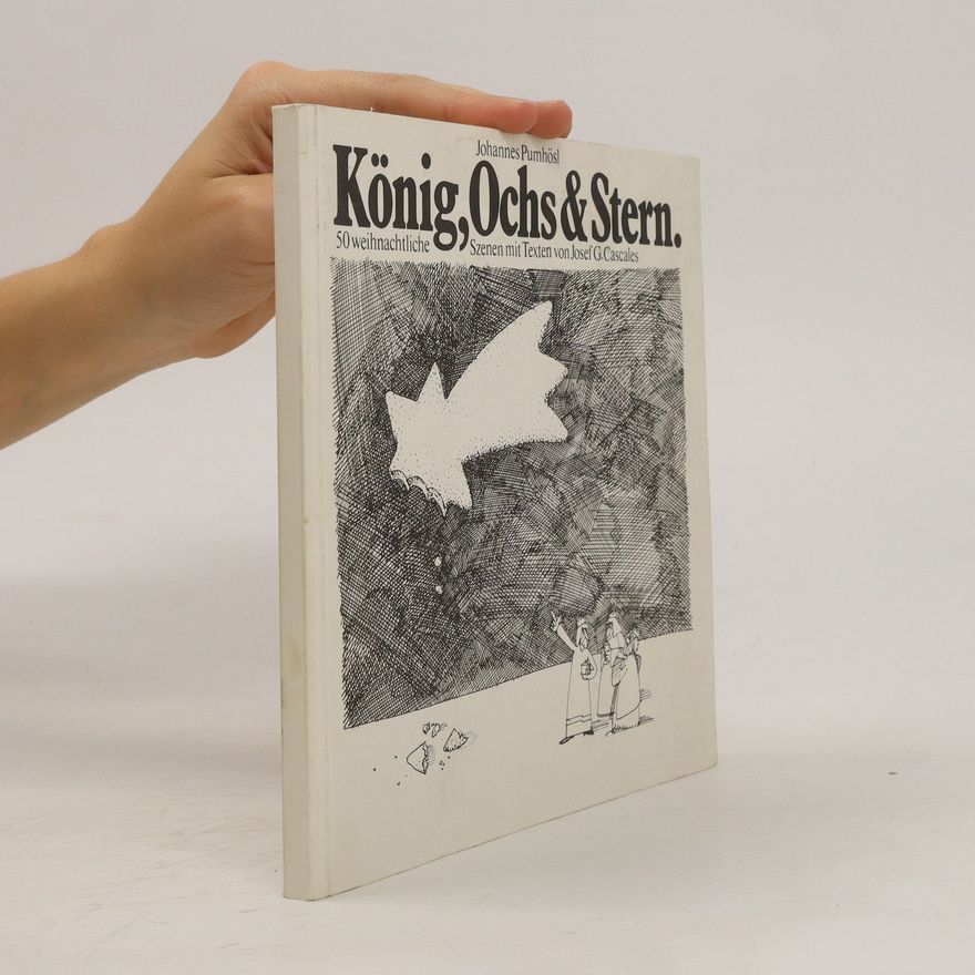 Johannes Pumhösl König, Ochs & Stern