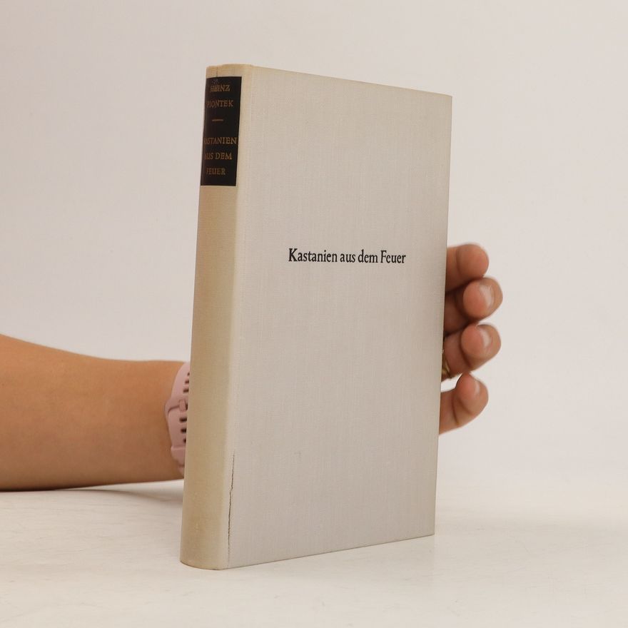Autorenkollektiv Kastanien aus dem Feuer