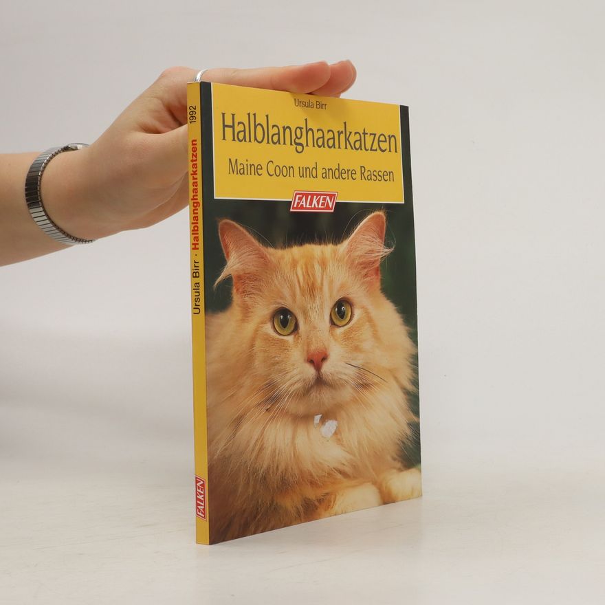 Ursula Birr Halblanghaarkatzen