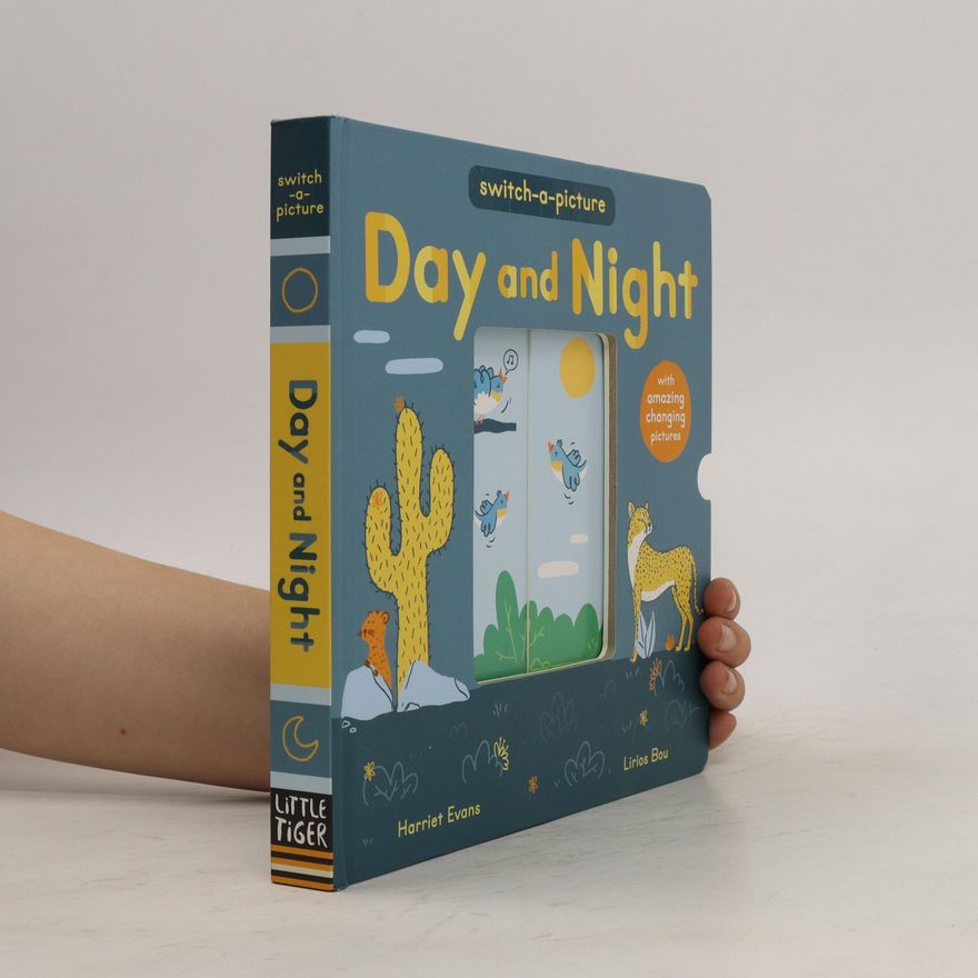 Lirios Bou Day and Night