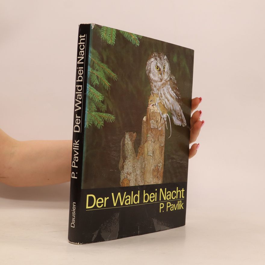 Přemysl Pavlík Der Wald bei Nacht