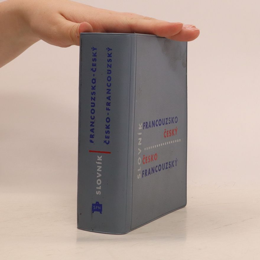 Autorenkollektiv Slovník Francouzsko-český, česko-francouzský