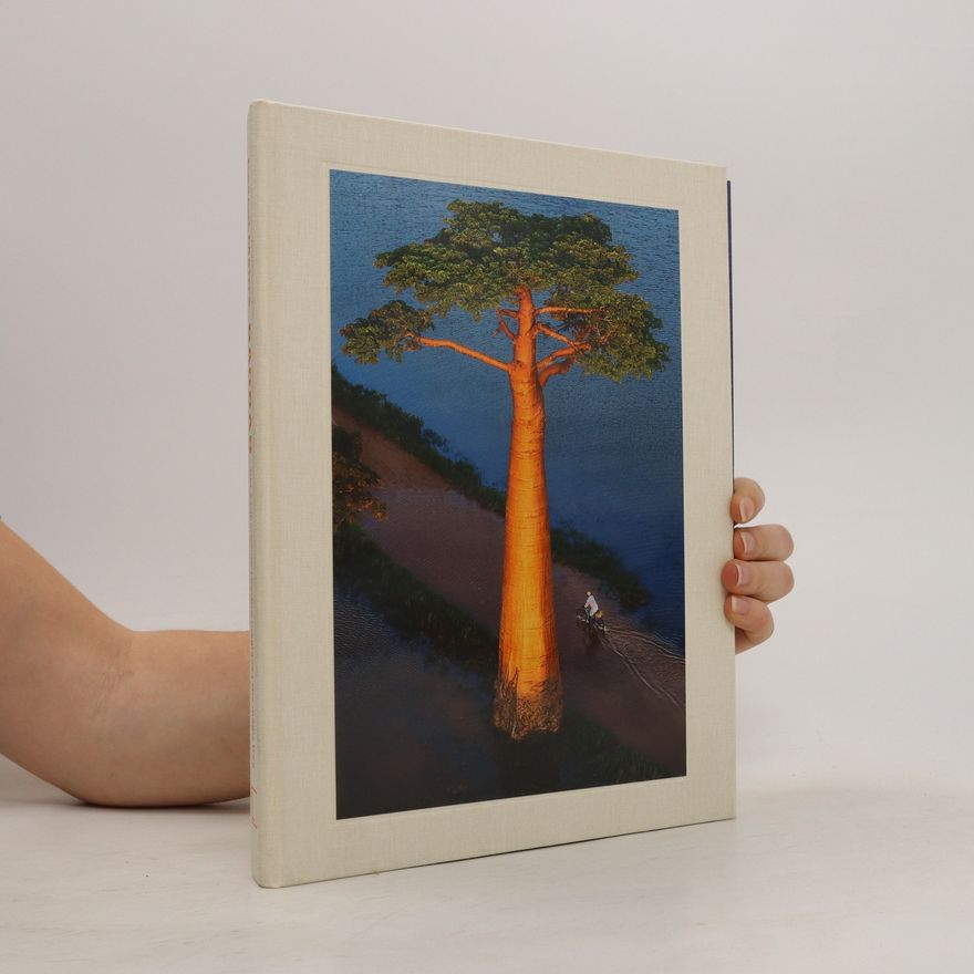 Pascal Maitre Baobab