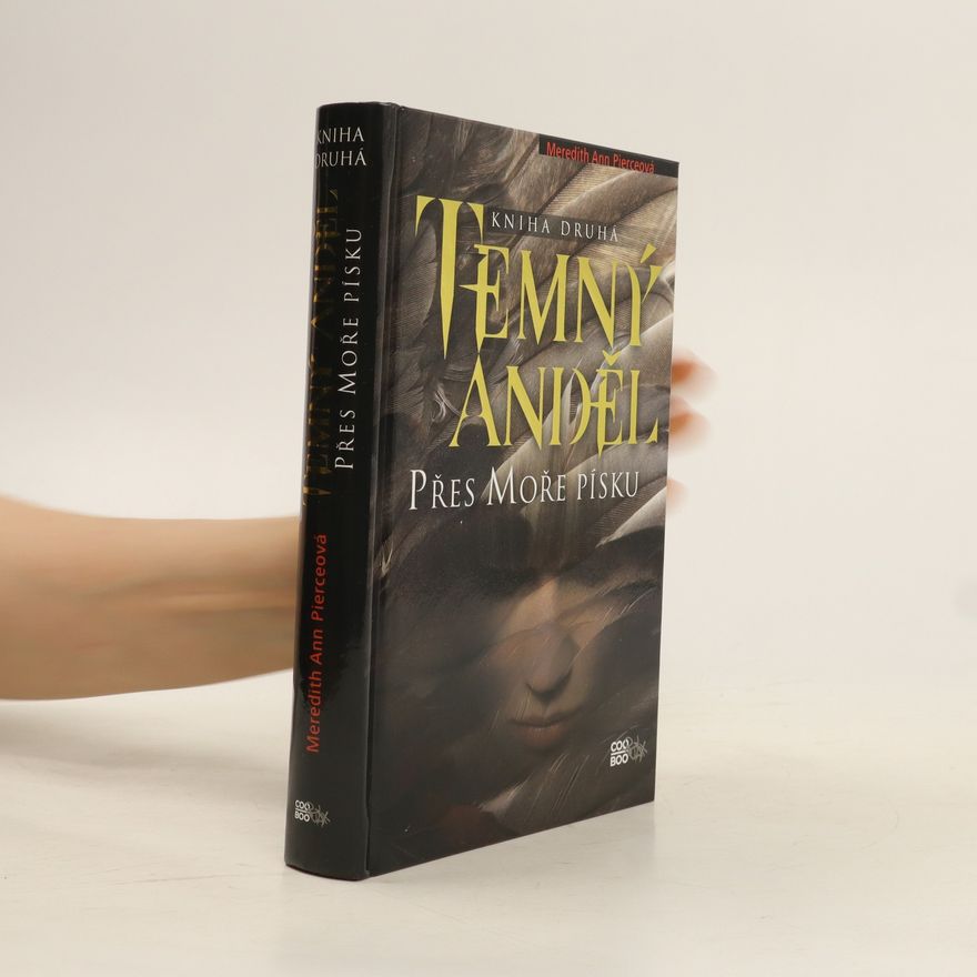 Meredith Ann Pierce Temný anděl. Přes moře písku