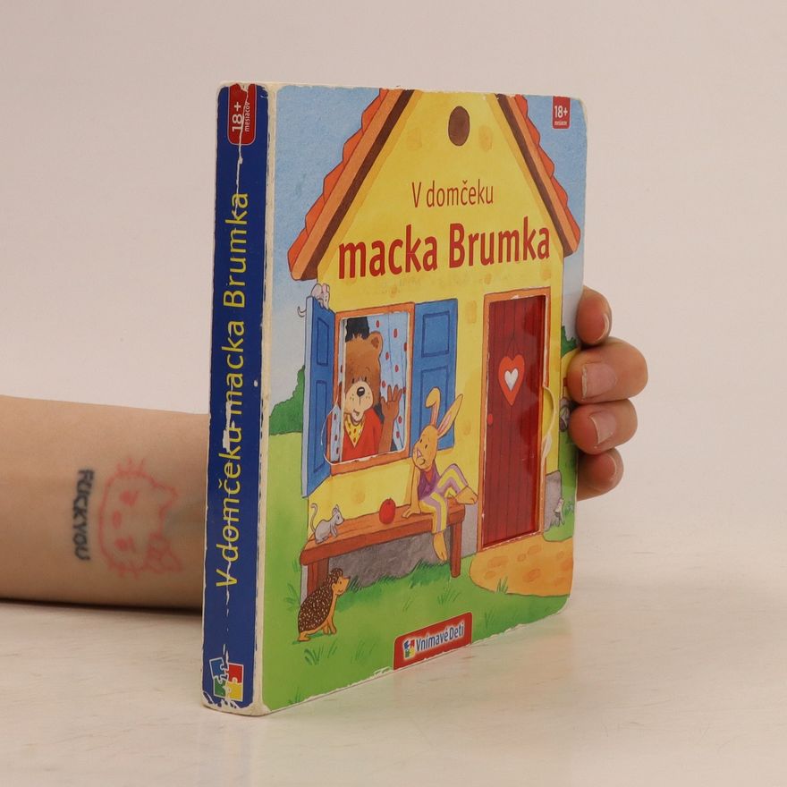 Autorenkollektiv V domčeku macka Brumka