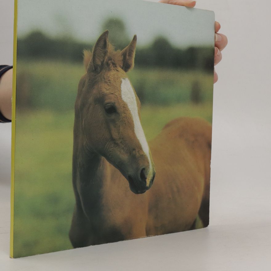 Klaus-Jürgen Hofer Fotobilderbuch