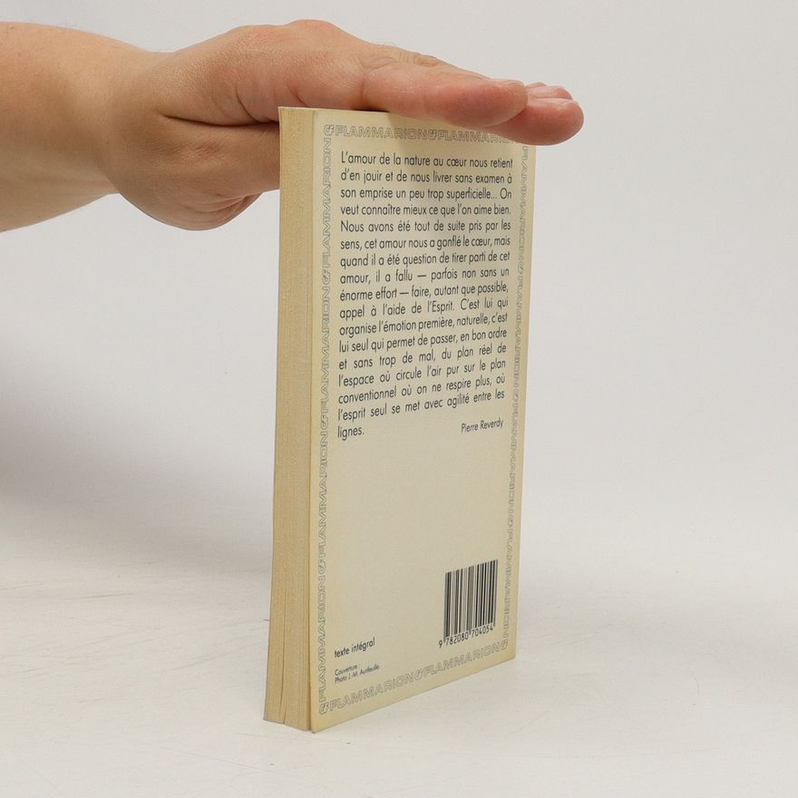 Pierre Reverdy Flaques de verre