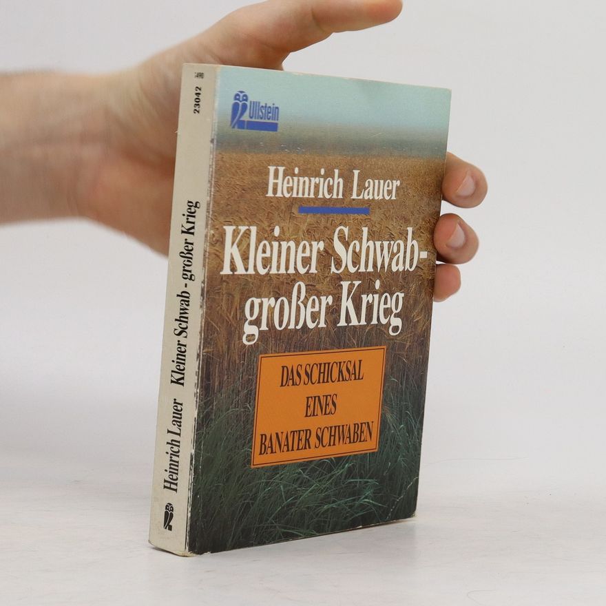 Heinrich Lauer Kleiner Schwab - grosser Krieg