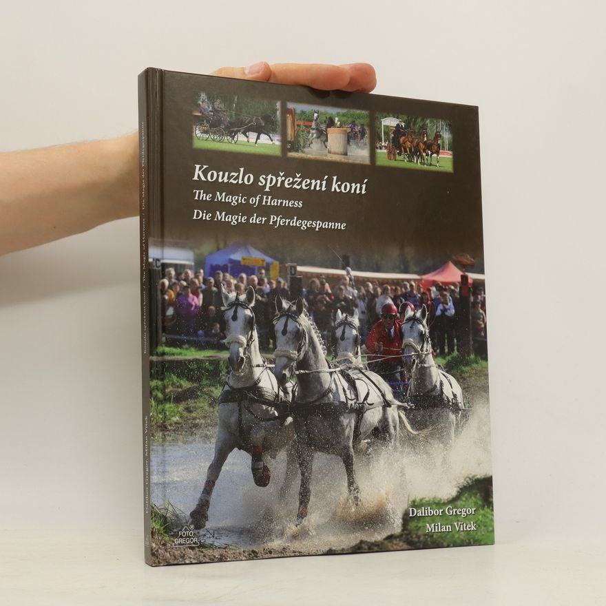 Dalibor Gregor Kouzlo spřežení koní