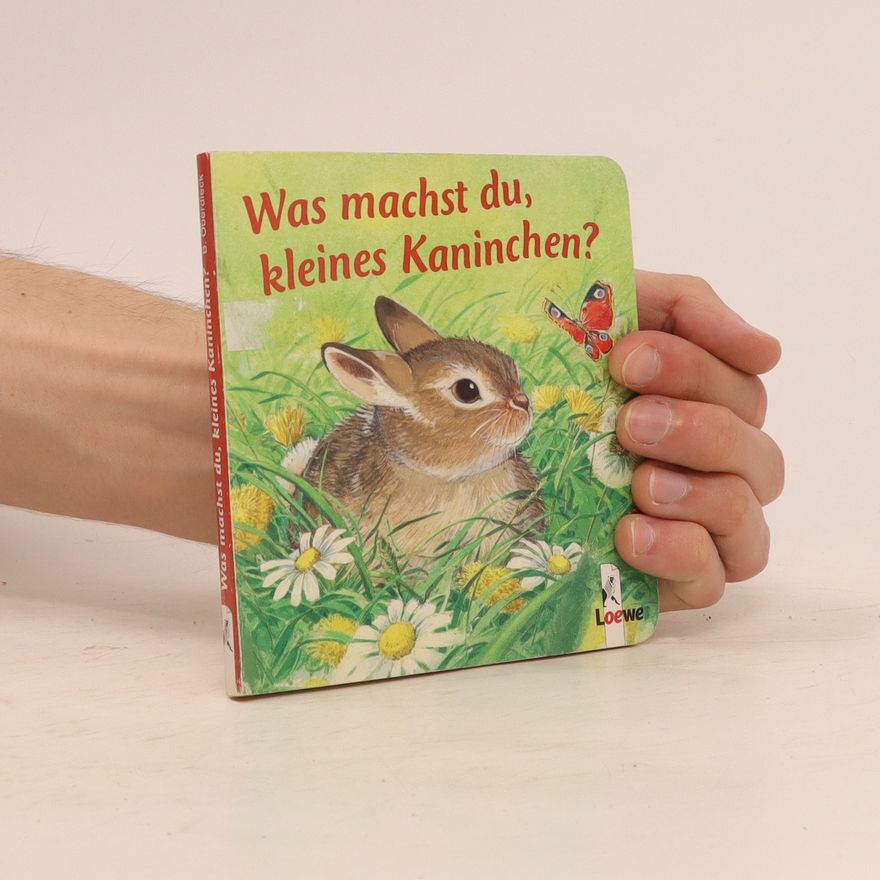 Kolektiv autorů Was machst du, kleines Kaninchen?