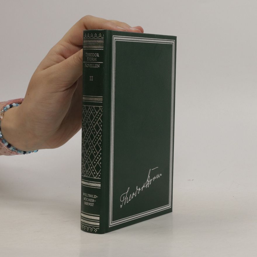 Theodor Storm Novellen II