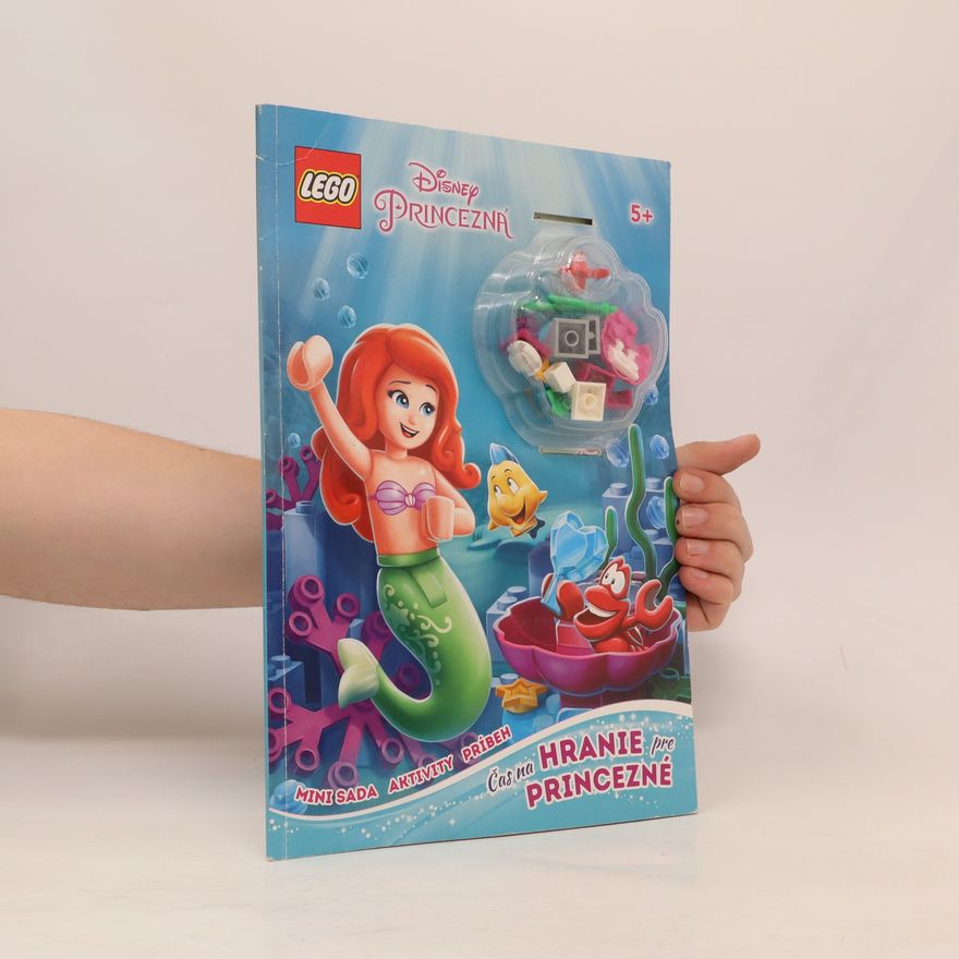 Lukáš Ondrejkovič LEGO Disney princezná