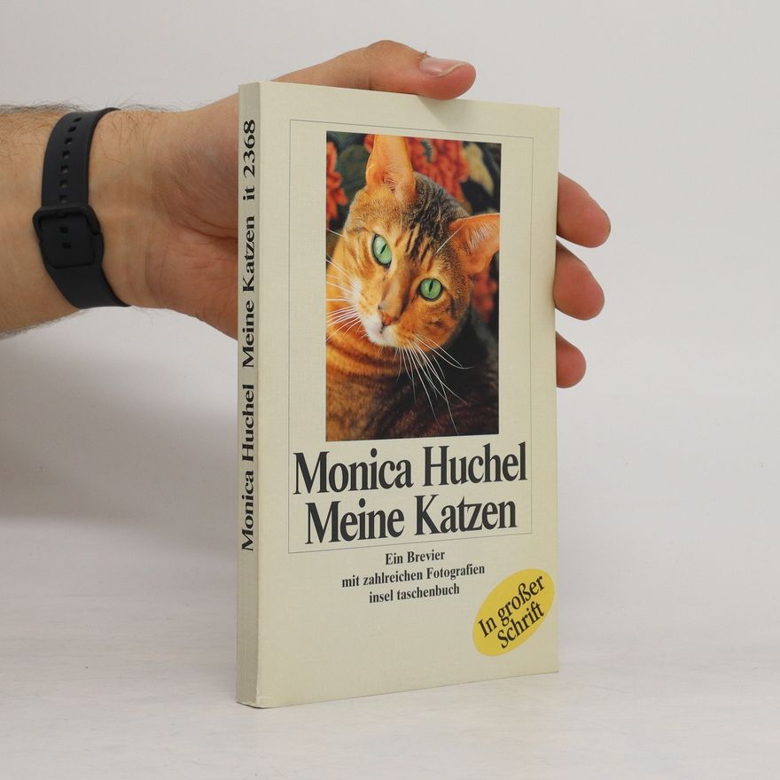 Nora Monica Huchel Meine Katzen