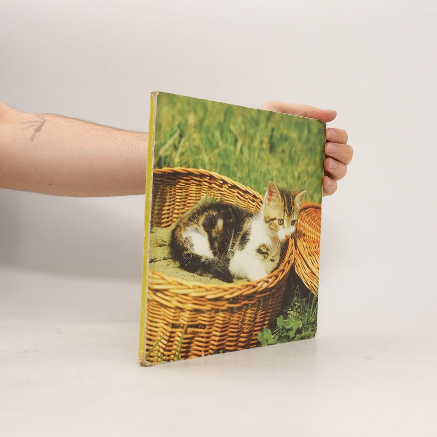 KlausJürgen Hofer Fotobilderbuch 4